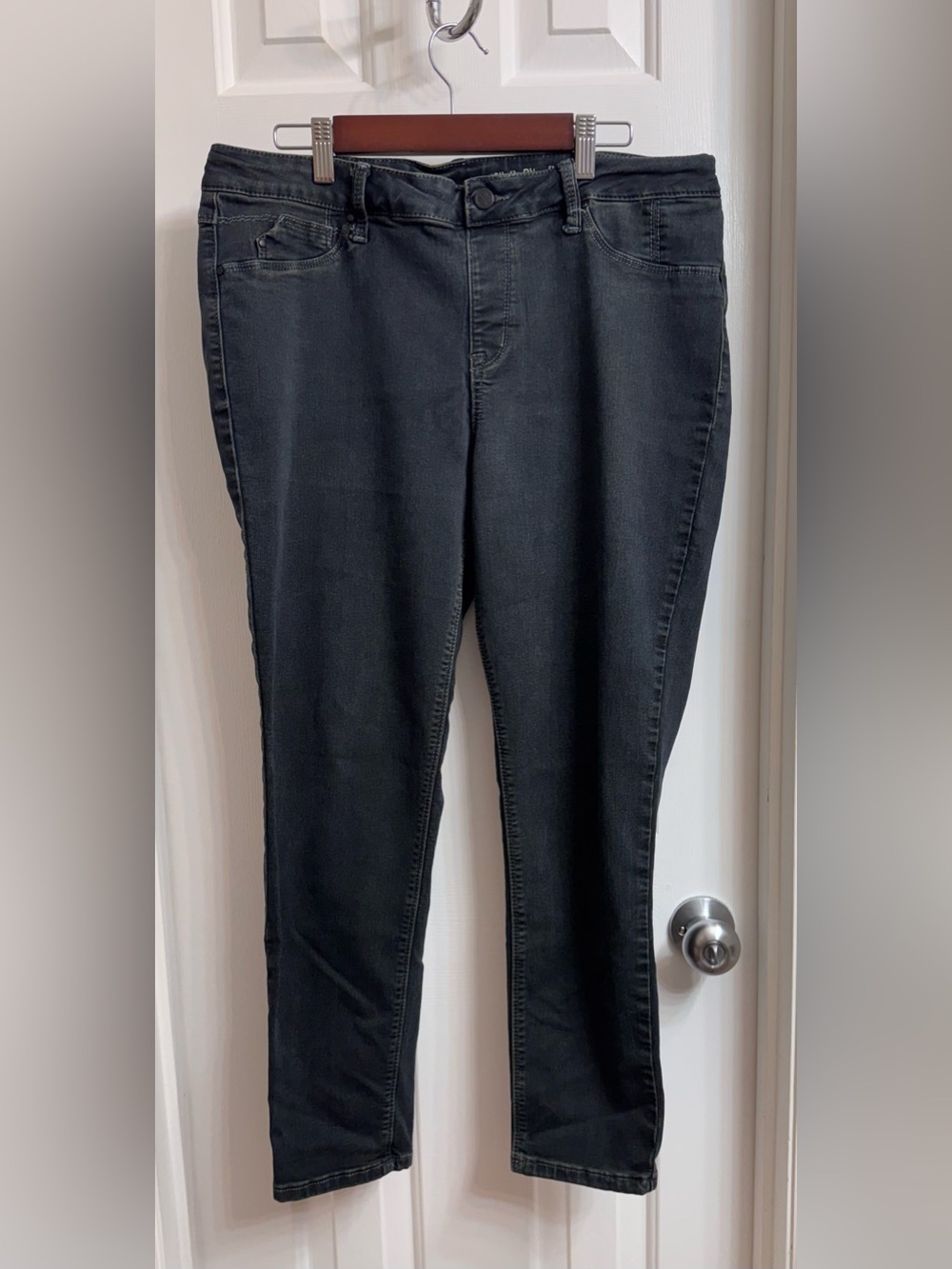 Laurie Felt Women’s Pull-On Silky Overdye Skinny Jeans with Vital Stretch Size L